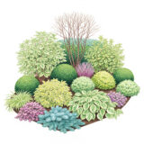 Easy-care evergreen plants