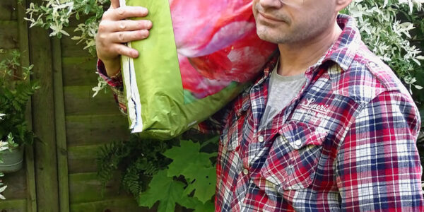 What to do in an easy-care garden in August