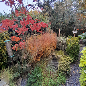 My Autumn Garden icon