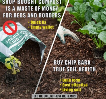 Don't waste money on multi-purpose compost