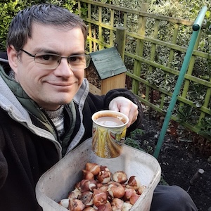 What to do in the November garden