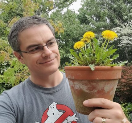 The misunderstood dandelion