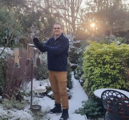 Winter in the garden