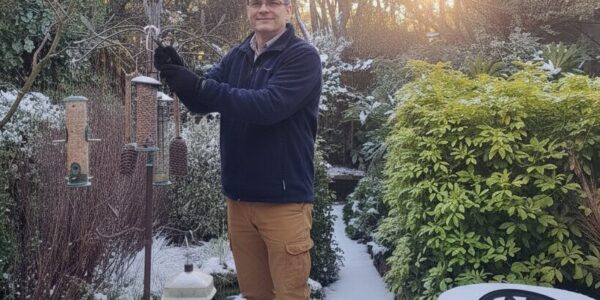 Winter in the garden