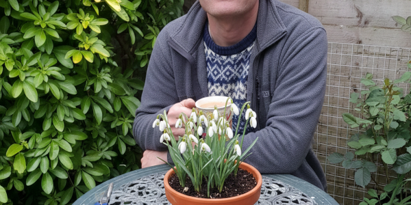 February tasks - sat with a pot of snowdrops