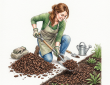 Mulching the soil
