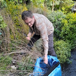 Late to the cutting of Purple Loosestrive