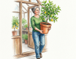 Bring citrus plants outdoors