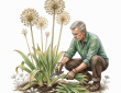 Cutting allium foliage