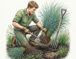 Dividing and moving grasses
