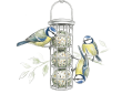Blue Tits feeding on fat balls