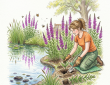 Planting purple loosestrife