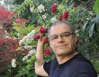 What to do in June