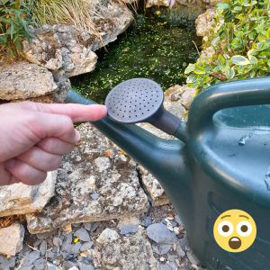 Watering-can-scaled